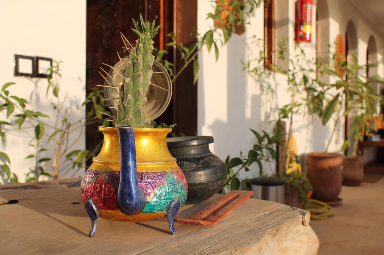 أورير Maison Darna Guesthouse المظهر الخارجي الصورة